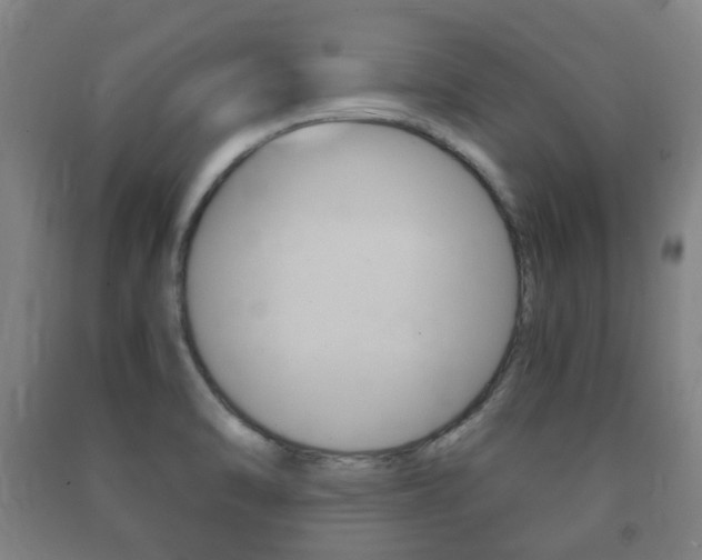 X0000091451470200708161037