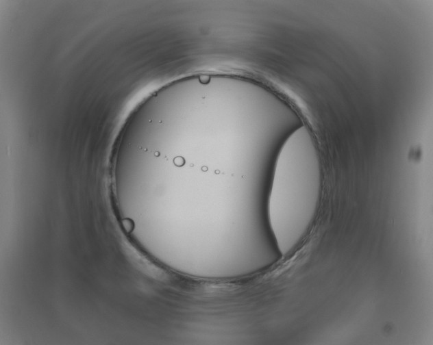 X0000091451471200708161037
