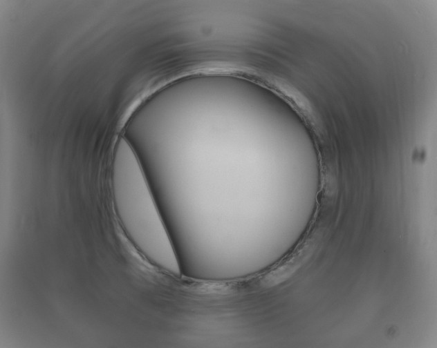 X0000091451473200708161037