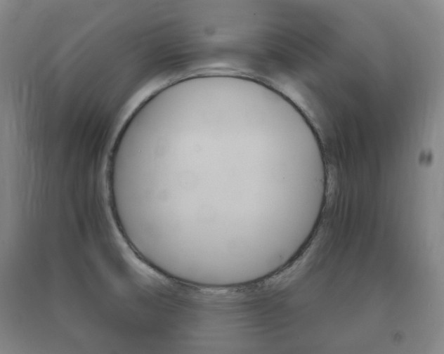 X0000091451474200708161037