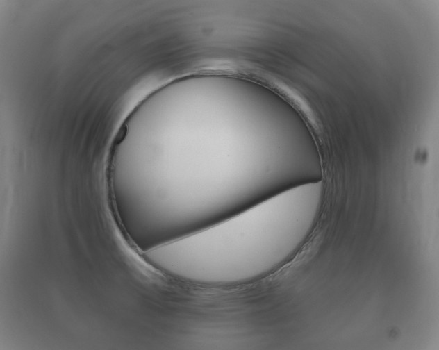 X0000091451475200708161037