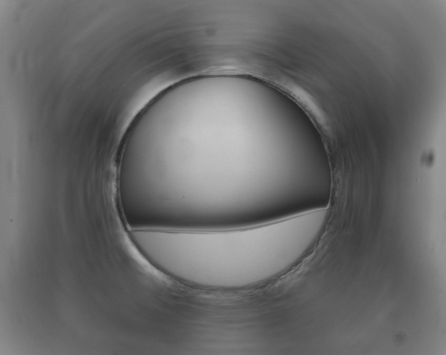X0000091451476200708161037