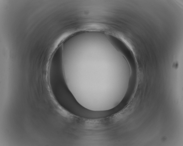 X0000091451477200708161037