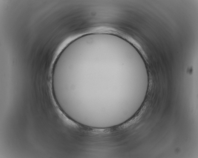 X0000091451478200708161037