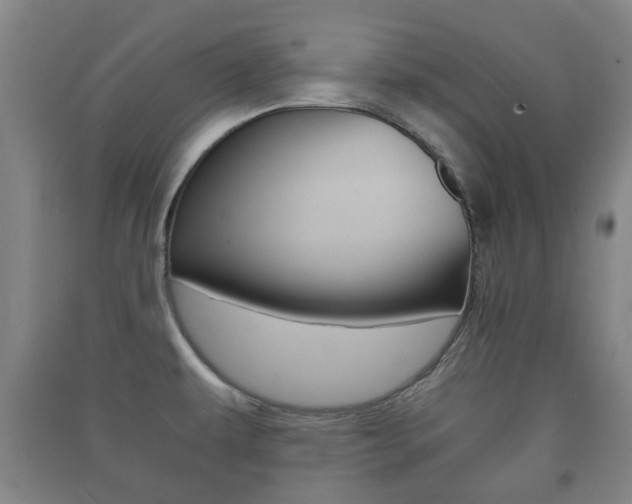 X0000091451479200708161037