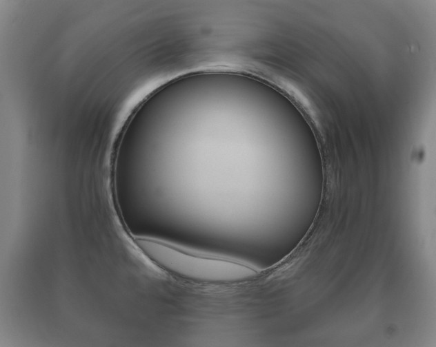 X0000091451480200708161037