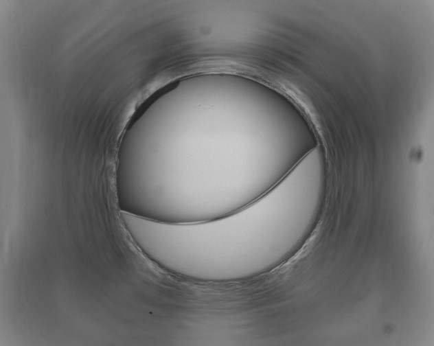 X0000091451481200708161037