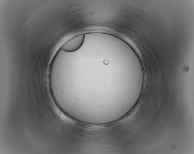 X0000091451482200708161037