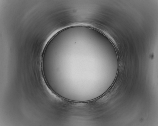 X0000091451484200708161037