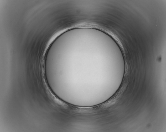 X0000091451486200708161037