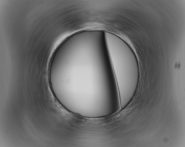 X0000091451488200708161037