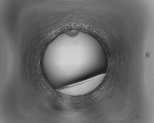 X0000091451489200708161036