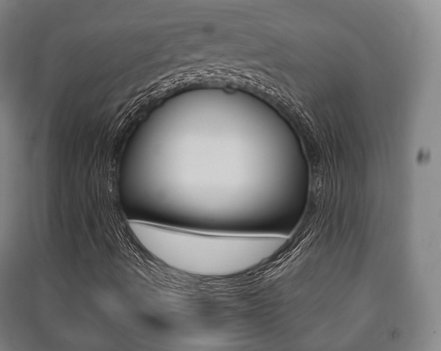 X0000091451490200708161036