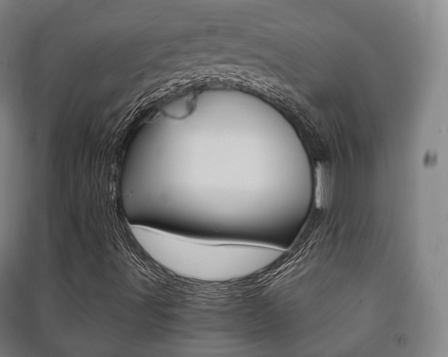 X0000091451491200708161036