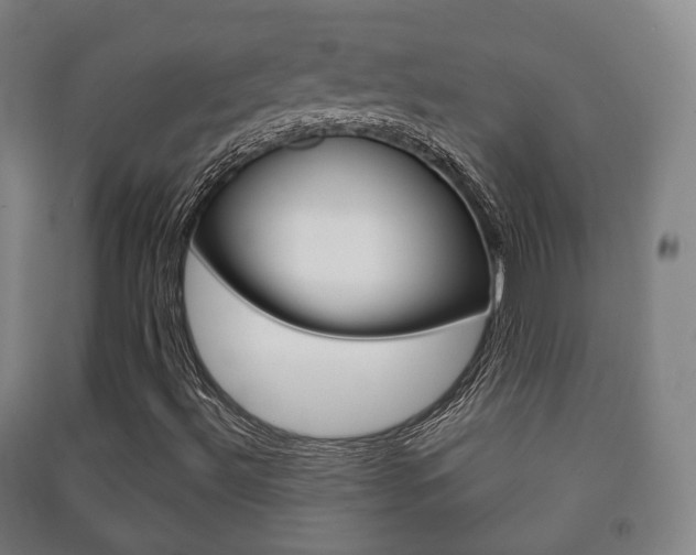 X0000091451492200708161036