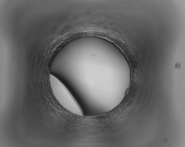 X0000091451493200708161036