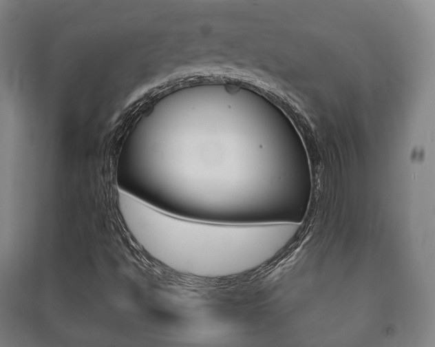 X0000091451494200708161036