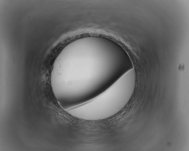 X0000091451495200708161036
