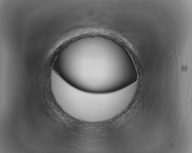 X0000091451496200708161036
