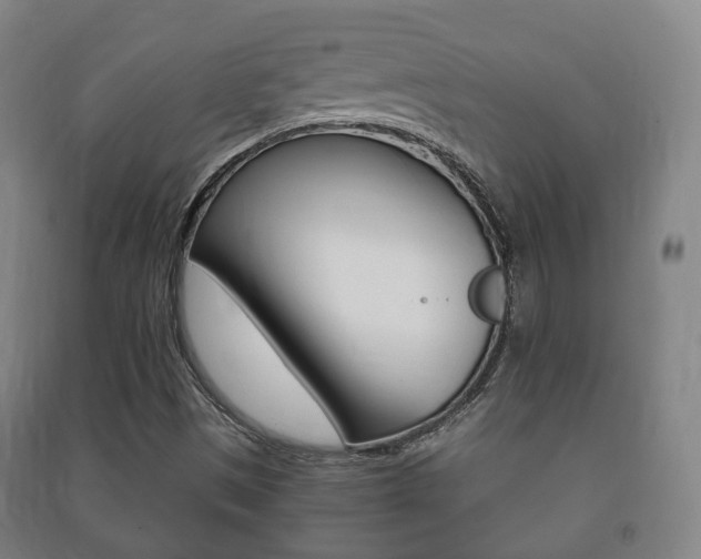 X0000091451497200708161036