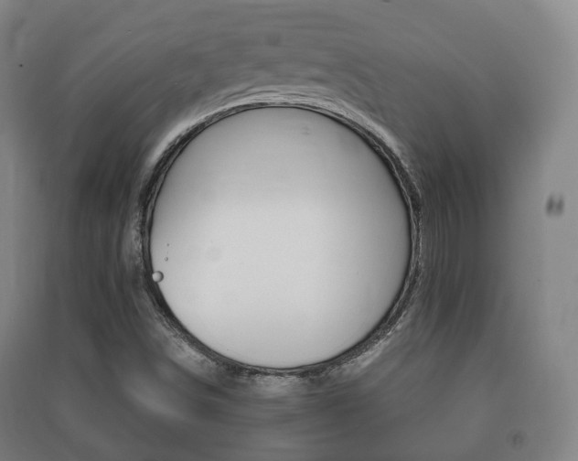 X0000091451498200708161036