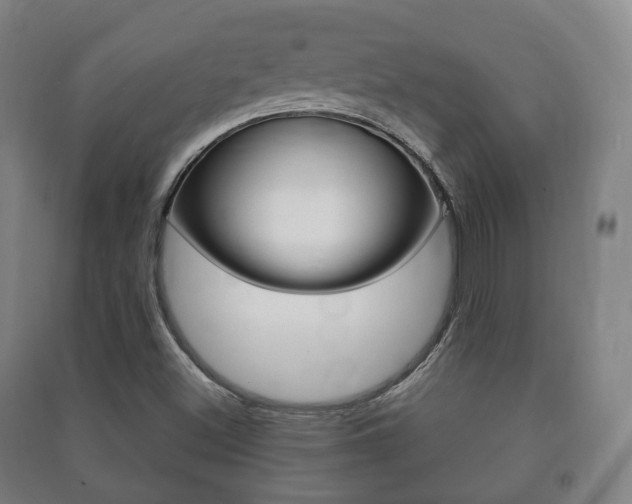 X0000091451500200708161036