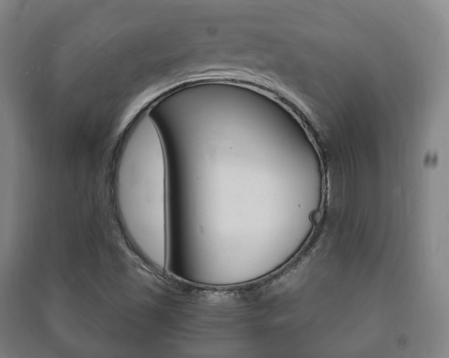 X0000091451501200708161036