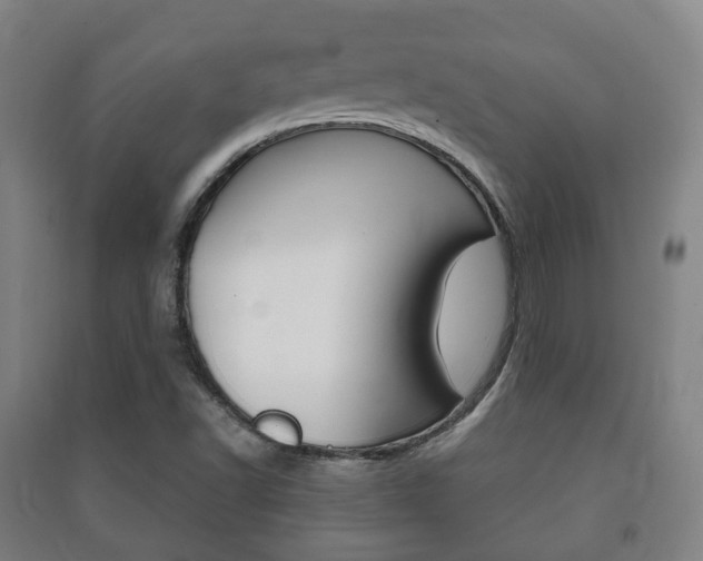 X0000091451502200708161036
