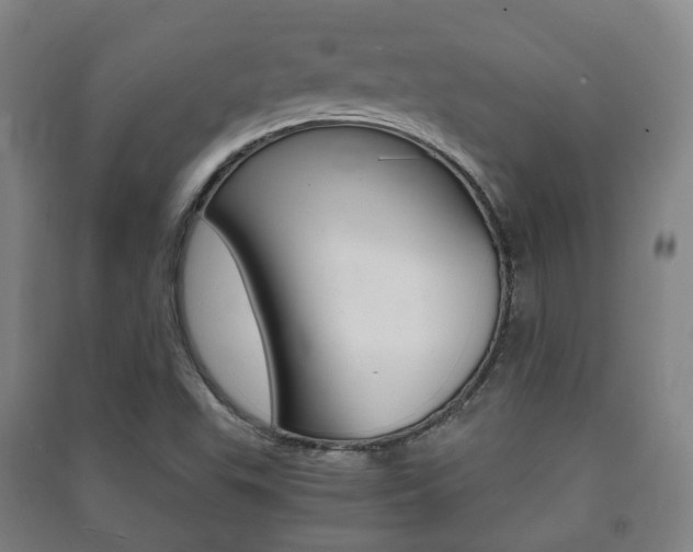 X0000091451503200708161036