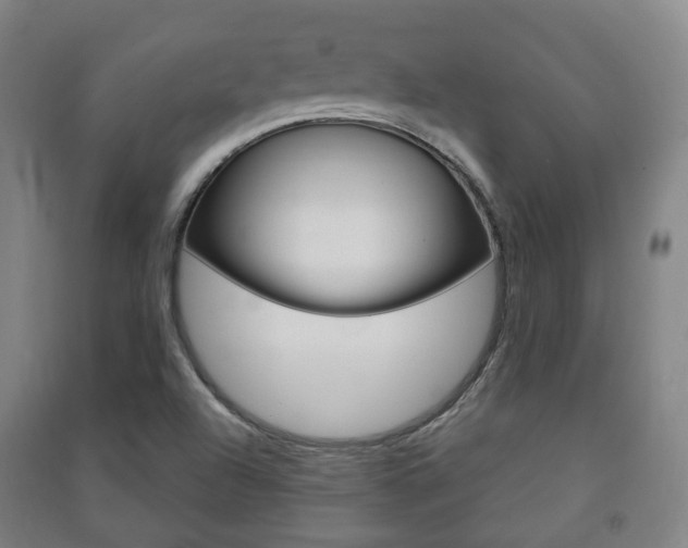 X0000091451504200708161036
