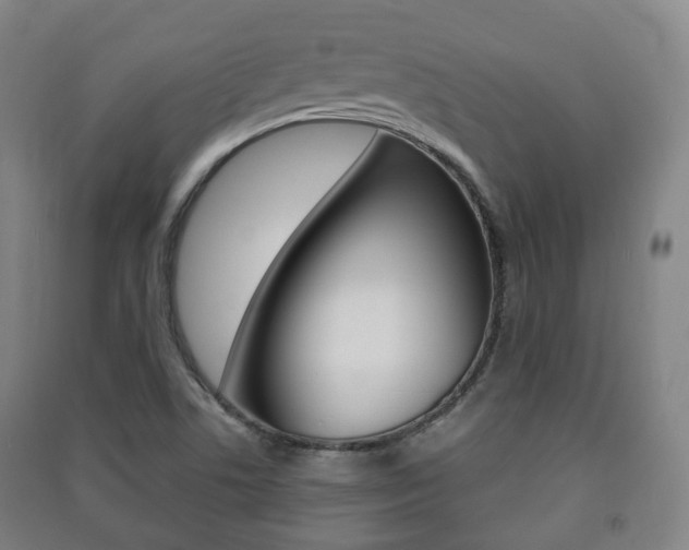 X0000091451506200708161036