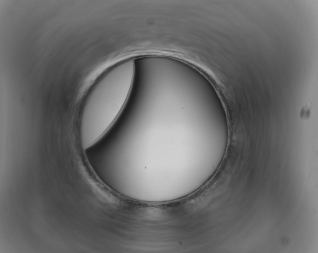 X0000091451507200708161036