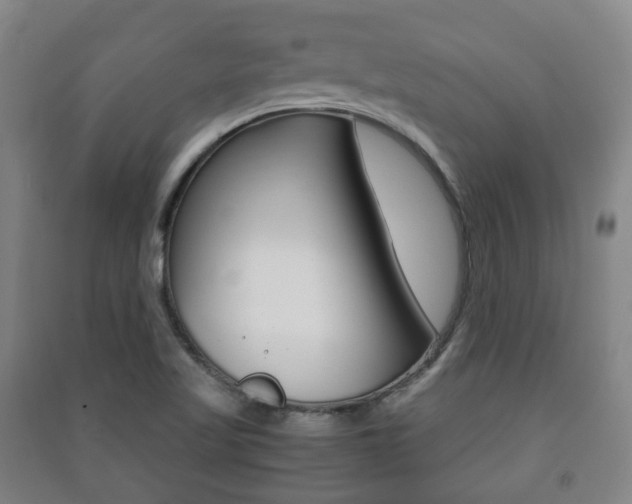 X0000091451509200708161036