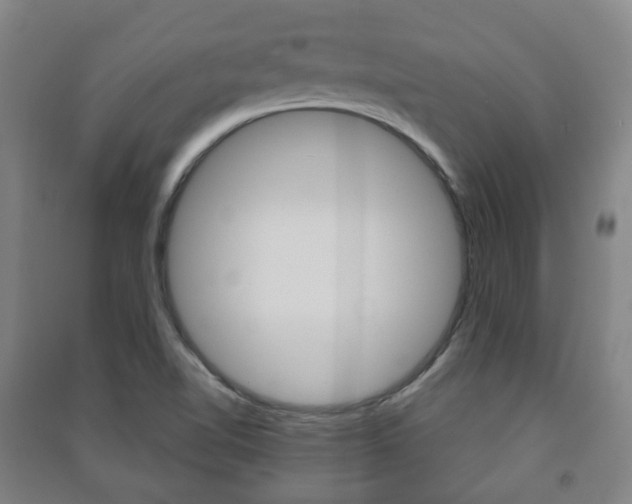 X0000091451510200708161036