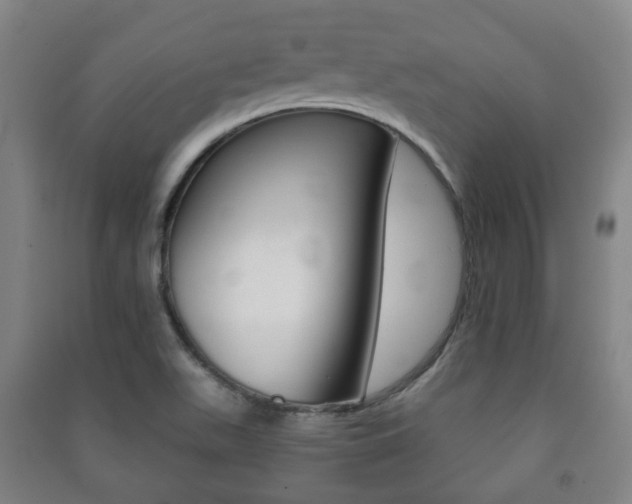 X0000091451511200708161036