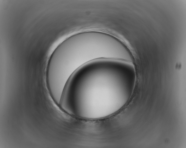 X0000091451512200708161036