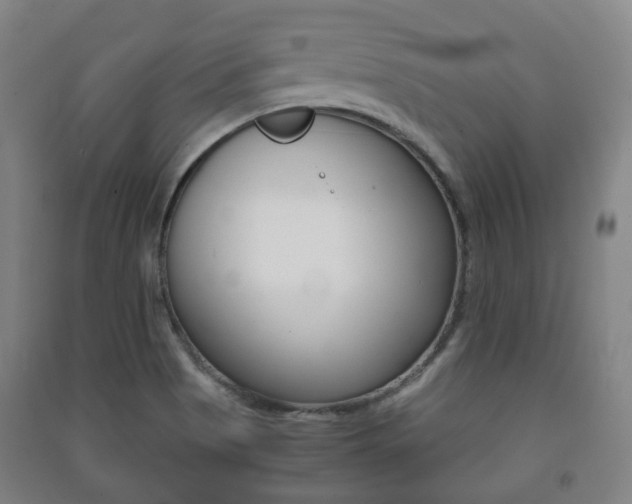 X0000091451513200708161036