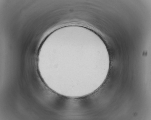 X0000091451514200708161036