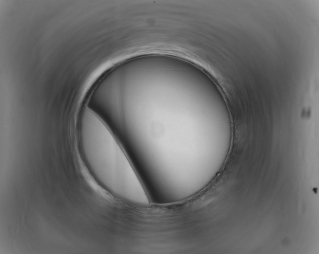 X0000091451515200708161036