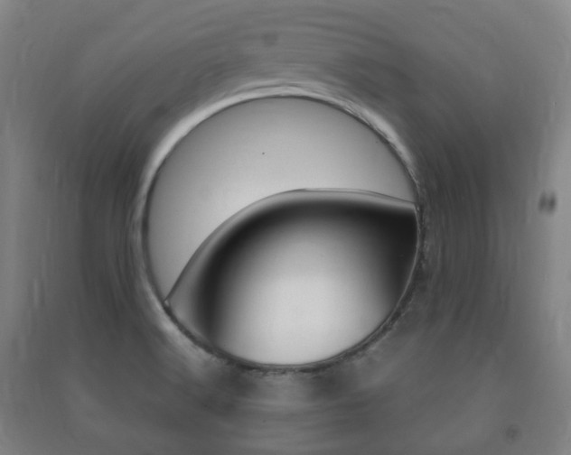 X0000091451516200708161036