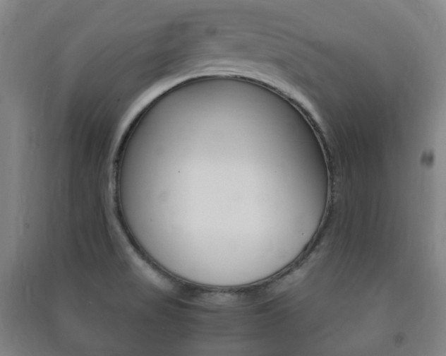 X0000091451517200708161036