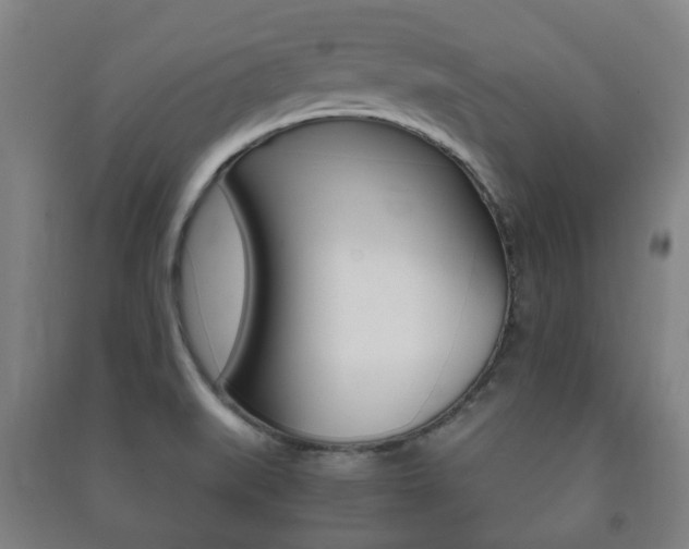 X0000091451519200708161036