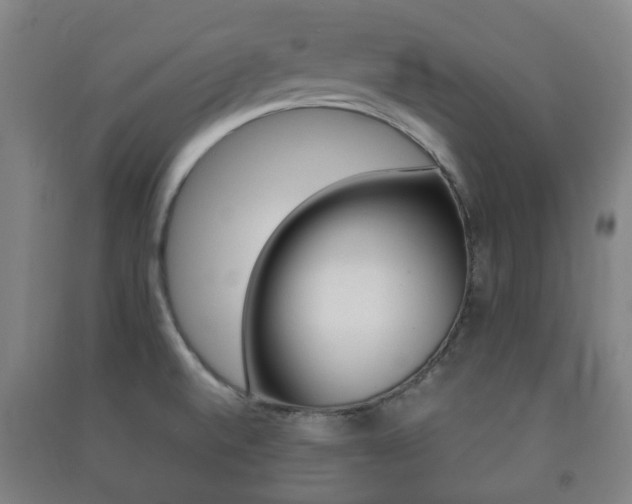 X0000091451520200708161036
