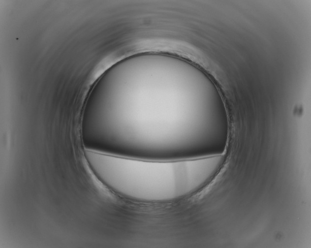 X0000091451521200708161036