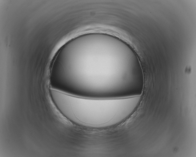 X0000091451522200708161036