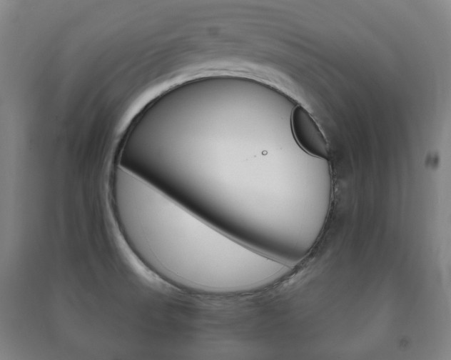 X0000091451523200708161036