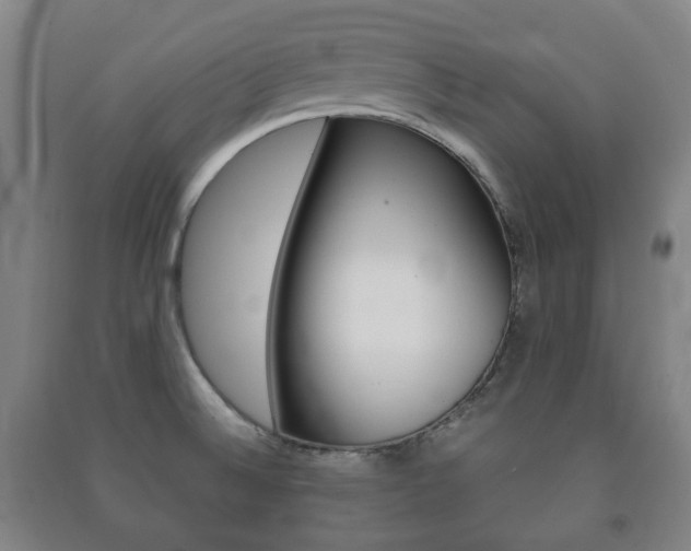 X0000091451524200708161036
