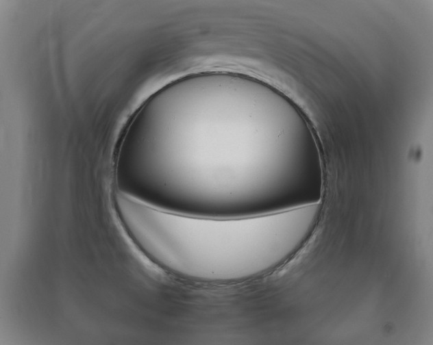 X0000091451525200708161036