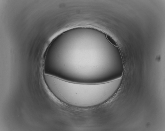 X0000091451526200708161036