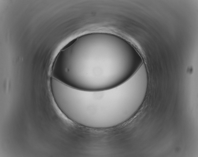X0000091451528200708161036